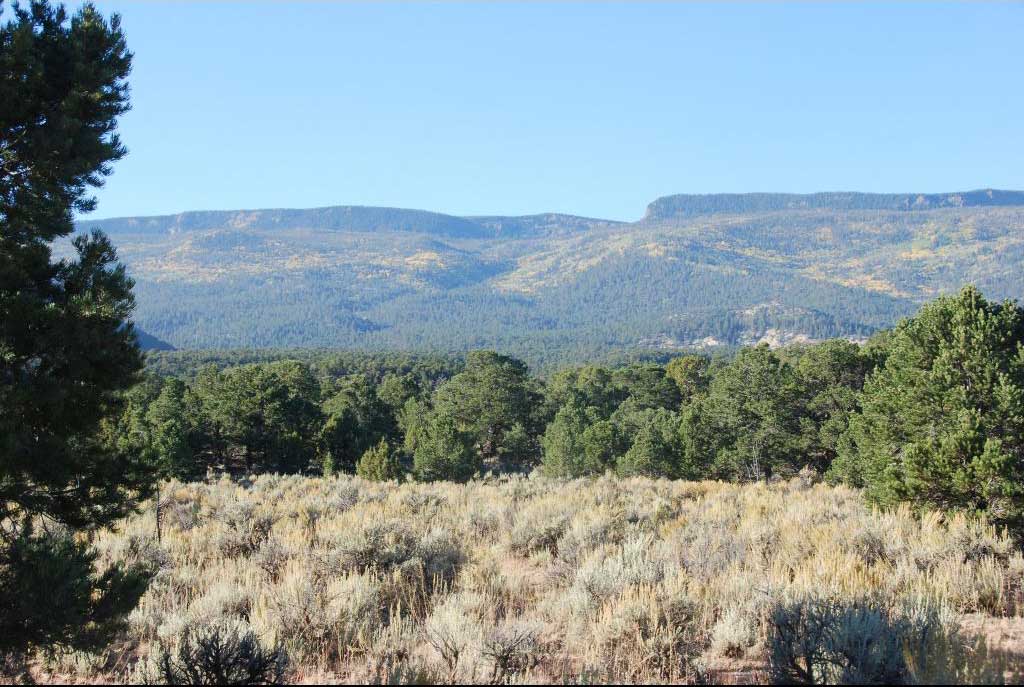 Capitol Reef and Grover Real Estate